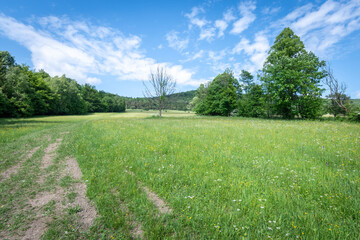 Polana górska w Beskidzie Niskim w słoneczny dzień © TM 360
