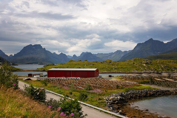 Happy children with parents and dog, european family, hiking the Kvalvika trail on hill at Kvalvika beach, Norway