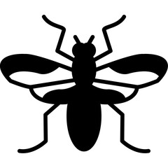 Hoverfly Icon