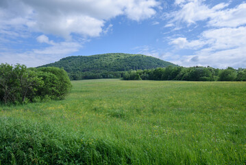 Pusta łąka w górach