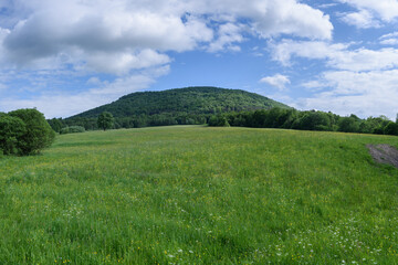 Pusta łąka w górach