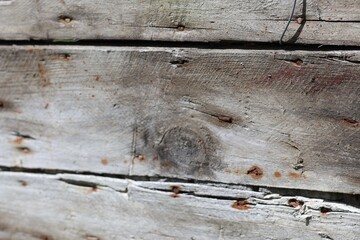 Naklejka premium real old wood texture