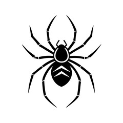 Fototapeta premium Black spider illustration, detailed design, Halloween symbol, isolated on white