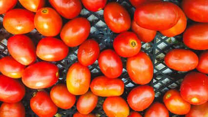 red tomatoes background