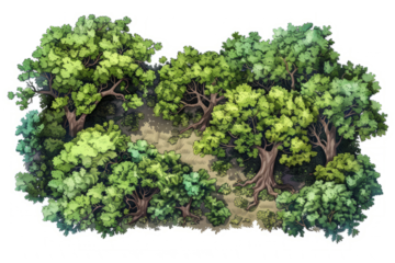 aerial view of an ancient oak woodland, highlighting the natural patterns and textures formed by the trees.