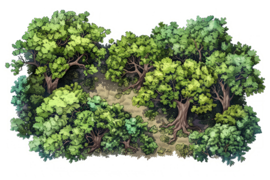 aerial view of an ancient oak woodland, highlighting the natural patterns and textures formed by the trees.