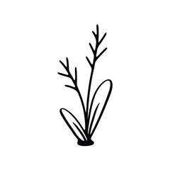 A minimalist black and white illustration of a simple plant with elongated leaves and a tall stem.