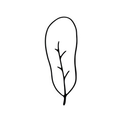A minimalist black and white illustration of a single leaf with a central stem and subtle branching veins.