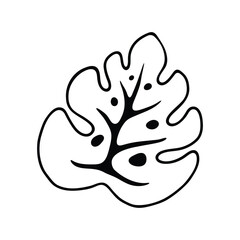 A minimalist black and white illustration of a Monstera leaf with its distinctive split and perforated pattern.