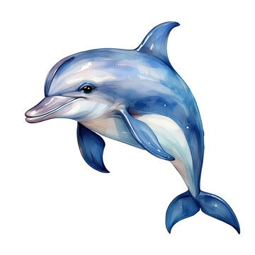 recommend clip art: dolphin isolated on white background watercolor clipart