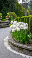 White yucca blooms flourish in the garden, complemented by lush greenery and an iron fence, creating a vibrant and inviting atmosphere in a well-maintained outdoor space.