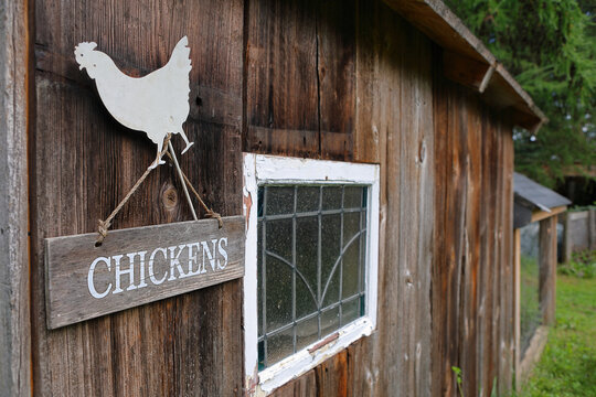 Wooden hen house with a chicken run in the background and the word chickens written on it