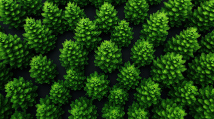 Leveraging carbon credits in offset programs to achieve carbon neutrality.