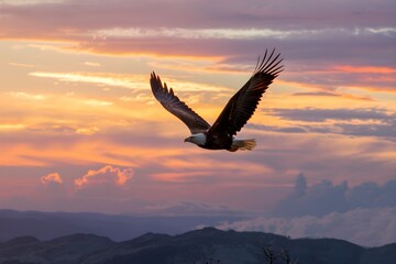 Naklejka premium Majestic eagle soars through the sky during a sunset, wings spread against golden clouds