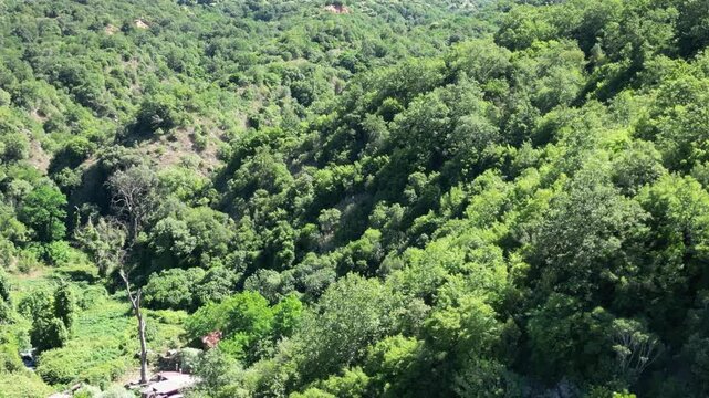 River coast dron bird view in Blue eye river, Albania. Green Seaweed leaves in Turquoise and green water river Bistrice scenic aerial view in Muzine, Finiq, Albania, Europe.