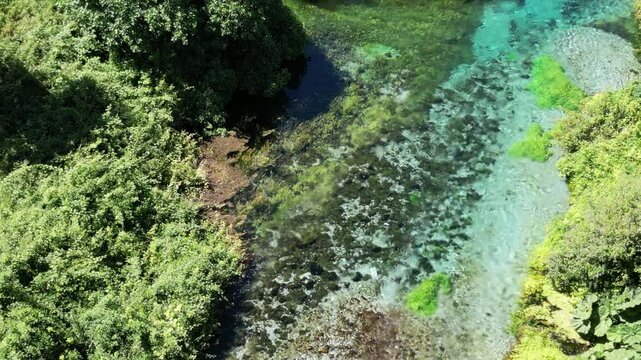 River coast dron bird view in Blue eye river, Albania. Green Seaweed leaves in Turquoise and green water river Bistrice scenic aerial view in Muzine, Finiq, Albania, Europe.