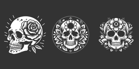 set skull design vector illustration
