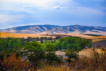 2024-09-02 ROLLING HILLS AND GRENN VEGETATION IN THE WALLA WALLA AREA OF WASHINGTON STATE WITH A...