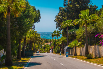 Street surrounded by palm trees that leads to the beach of Marbella in Spain