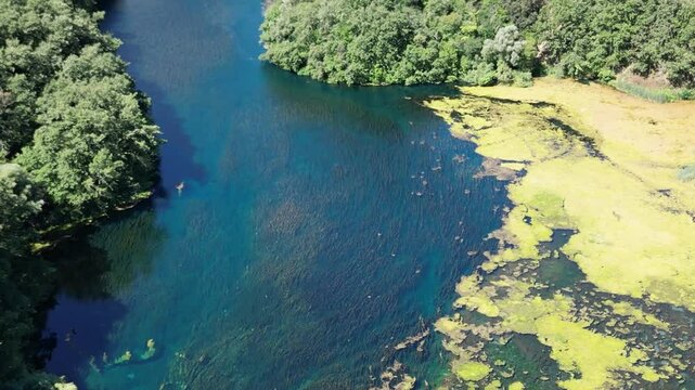Underwater Kelp Forest dron bird view in Blue eye river, Albania. Green Seaweed leaves in Turquoise and green water scenic aerial view in Muzine, Finiq, Albania, Europe.