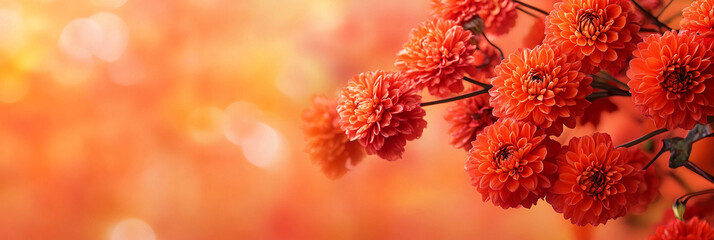 Orange flowers moody background, blurred flowers, orange red colours floral composition 