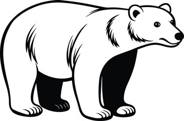 tracing background 01