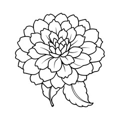 Download Marigold Flower Vector Art Illustration Svg File For Design.