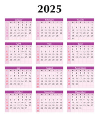 2025 year english vector calendar with 12 months pink colors