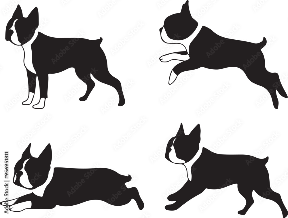 Wall mural boston terrier dog stylized vector silhouette set