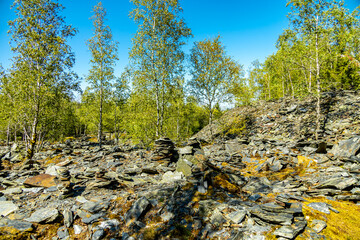 Spätsommer Wanderung durch den wunderschönen Thüringer Schieferpark bei Lehesten am Rennsteig - Thüringen - Deutschland