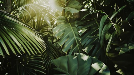 Sunlight filters through lush tropical leaves, creating a serene and verdant jungle atmosphere.