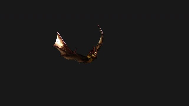 3d Illustration of Flying Vampire bat isolated on dark background with Alpha Matte.