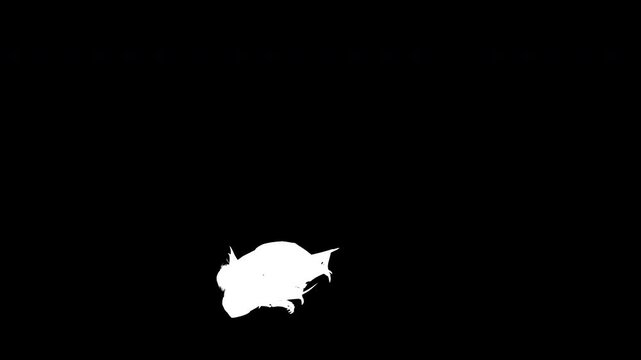 3d Illustration of Flying Vampire bat isolated on dark background with Alpha Matte.