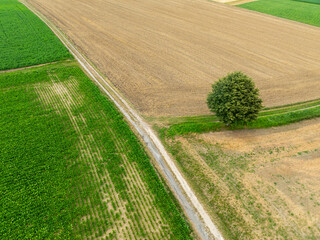 Aerial view of path through rural landscape in Switzerland. Road between fields.