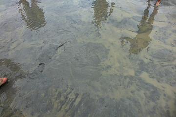 Bay of the Mont Saint Michel, during Low Tide. Quicksand. Le Mont Sent Michael, France.