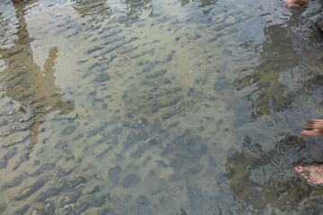 Bay of the Mont Saint Michel, during Low Tide. Quicksand. Le Mont Sent Michael, France.