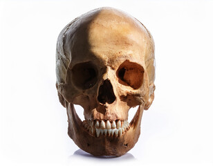 A Human Skull with broken teeth shadow on a white isolated background. Illustration, halloween, horror, scary, death concept.