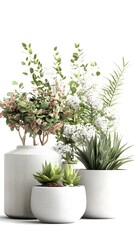 Artful Arrangement of Potted Plants and Flowers Against a Natural White Background