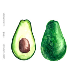 Vector watercolor avocado whole and half cut fruit illustration. Tropical exotic fruit for food and drink background.