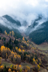 The magnificent colors of autumn and nature.