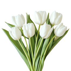 Elegant bouquet of white tulips with green leaves, showcasing natural beauty, perfect for floral arrangements and nature themes.