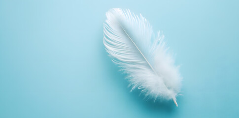 Naklejka premium White fluffy bird feather on sky blue background