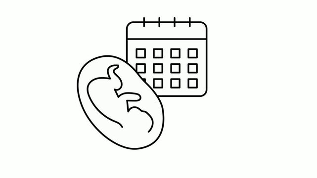 Baby Birth Expected Date animated video, Gestational age or Fetus Week time clock animation, In Vitro Fertilization Clip, Pregnancy and obstetrician Footage, test tube baby procedure motion graphics