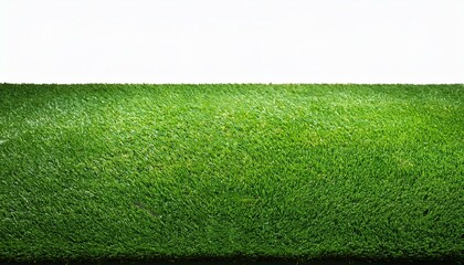 green grass on white.environment, color, surface, outdoor, natural, landscape, grassland, fresh