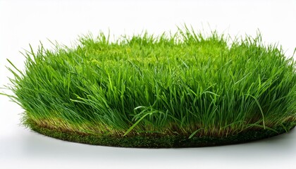 green grass isolated on white.grass, nature, isolated, field, plant, lawn, spring, 