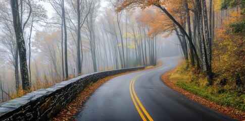 Fototapeta premium A drive along Newfound Gap Road in Great Smoky Mountains National Park during autumn is a stunning sight.