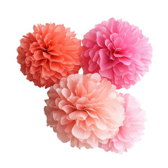  Tissue paper pom-poms object isolated on transparent png.