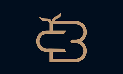 Get this well crafted monogram BC logo design
template vector