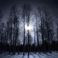 Fototapeta premium Nighttime forest with silhouetted trees illuminated by the moon