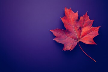 On a violet background, a pattern of dried orange metallic leaves appears